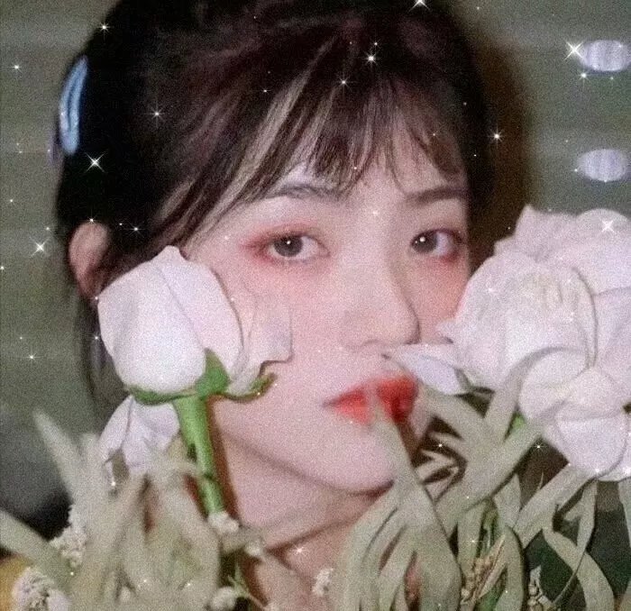 撒旦遇见淑女